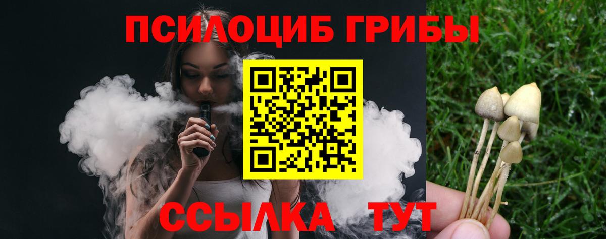 Галлюциногенные грибы Cubensis  Вход с VPN  Каменск-Уральский 
